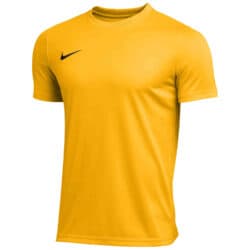 Nike Park VII Jersey - Gold
